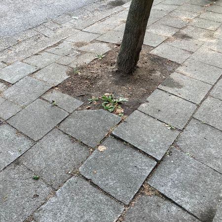worteldruk worteldruk